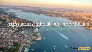 سائق عربي في اسطنبول بسعر رخيص | 2026