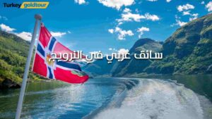 سائق عربي في النرويج